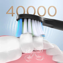Load image into Gallery viewer, Sonic Electric Toothbrush Waterproof USB Charge Rechargeable Electric Toothbrush 8 Brush Replacement Heads Adult
