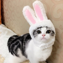 Load image into Gallery viewer, Funny Cosplay Costume Pet Dog Cat Hats Warm Kitten Rabbit Wig Cap Party Halloween Christmas Cos Accessories Photo Props Headwear