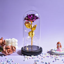 Load image into Gallery viewer, Glass Preserved Rose Galaxy Rose LED Light Artificial Flowers Gifts for Women