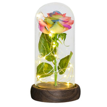 Load image into Gallery viewer, Glass Preserved Rose Galaxy Rose LED Light Artificial Flowers Gifts for Women