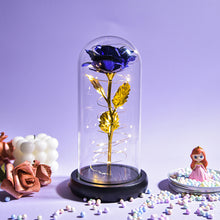 Load image into Gallery viewer, Glass Preserved Rose Galaxy Rose LED Light Artificial Flowers Gifts for Women