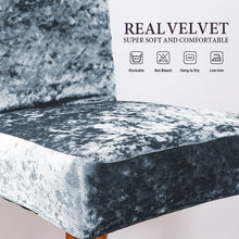 Load image into Gallery viewer, Cheap Velvet Dining Chair Cover Elastic Stretch Chair Slipcover