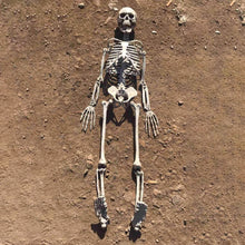 Load image into Gallery viewer, Halloween Party Humans Skeleton Ornament Bar Haunted House Props Interesting Durable Simulation Halloween Decorations For Home