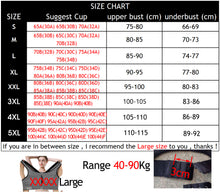 Load image into Gallery viewer, Yoga Bra Shockproof Breathable Gym Fitness Clothes For Women