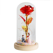 Load image into Gallery viewer, LED Enchanted Galaxy Rose Eternal 24K Gold Foil Flower With Fairy String Lights In Dome For Christmas Valentine's Day Gift