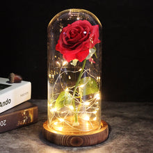 Load image into Gallery viewer, LED Enchanted Galaxy Rose Eternal 24K Gold Foil Flower With Fairy String Lights In Dome For Christmas Valentine's Day Gift