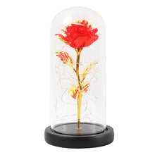 Load image into Gallery viewer, LED Enchanted Galaxy Rose Eternal 24K Gold Foil Flower With Fairy String Lights In Dome For Christmas Valentine's Day Gift