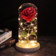 Load image into Gallery viewer, LED Enchanted Galaxy Rose Eternal 24K Gold Foil Flower With Fairy String Lights In Dome For Christmas Valentine's Day Gift