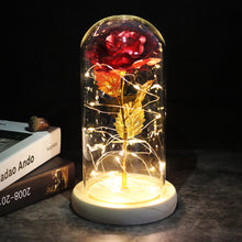 Load image into Gallery viewer, LED Enchanted Galaxy Rose Eternal 24K Gold Foil Flower With Fairy String Lights In Dome For Christmas Valentine's Day Gift