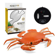 Load image into Gallery viewer, Infrared RC Insect Remote Control Simulation Mantis Prank Joke Trick Bugs Kids Gift