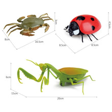 Load image into Gallery viewer, Infrared RC Insect Remote Control Simulation Mantis Prank Joke Trick Bugs Kids Gift