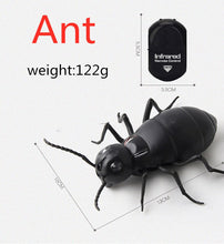 Load image into Gallery viewer, Infrared Remote Control Cockroach Toy Animal Trick Terrifying Mischief Kids Toys Funny Novelty Gift RC Spider Ant
