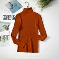 Load image into Gallery viewer, Simple Women Turtleneck Sweater Winter Fashion Pullover Elastic Knit Ladies Jumper Casual Solid Black Female Basic Tops