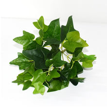 Load image into Gallery viewer, 5pcs Artificial Grass Plants For Store Shop Bonsai Fake Small Green Plants Artificial Greenery Plant Wall Home Garden Decoration