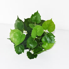 Load image into Gallery viewer, 5pcs Artificial Grass Plants For Store Shop Bonsai Fake Small Green Plants Artificial Greenery Plant Wall Home Garden Decoration