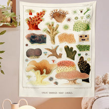 Load image into Gallery viewer, Mushroom Tapestry Wall Hanging Botanical Print Floral Illustration Identification Chart Diagram Illustration Wall Art Boho Decor