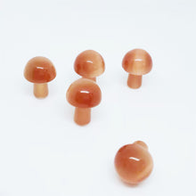 Load image into Gallery viewer, 5PCs Natural Crystal Agate Mushroom 2cm Mini Small Mushroom Crystal Crafts Micro Landscape Ornaments Decorations