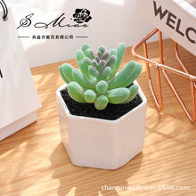 Load image into Gallery viewer, Artificial Succulent Pant Bonsai (Pot Included) Artificial Flower Creative Decoration Artificial Plant