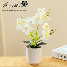Load image into Gallery viewer, 3D Printing Film Three-Fork Eight-Flower Phalaenopsis Bonsai Artificial Flower Fashion Home Decorations