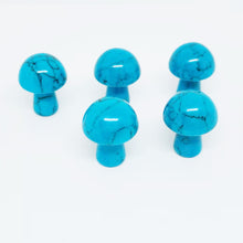 Load image into Gallery viewer, 5PCs Natural Crystal Agate Mushroom 2cm Mini Small Mushroom Crystal Crafts Micro Landscape Ornaments Decorations