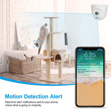 Load image into Gallery viewer, Rotating 360 Degrees Conch Home Mobile Phone Remote HD WiFi Network Semi-Dome Surveillance Camera