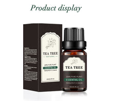 Load image into Gallery viewer, Aromatherapy Oil Organic Essence Oil Single Essential Oil Lavender Tea Tree Massage Essential Oils