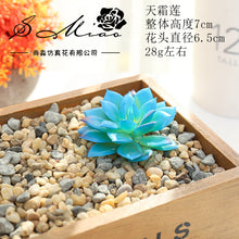 Load image into Gallery viewer, Blue Series Artificial Succulent Pant Flower Head Creative DIY Accessories Flower Arrangement Artificial Flower Plant Wall Supplies Green Plant