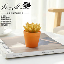 Load image into Gallery viewer, Succulent Plant Bonsai Creative Decoration Gift Flower Plant Interior Decoration