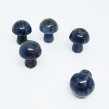 Load image into Gallery viewer, 5PCs Natural Crystal Agate Mushroom 2cm Mini Small Mushroom Crystal Crafts Micro Landscape Ornaments Decorations