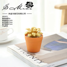 Load image into Gallery viewer, Succulent Plant Bonsai Creative Decoration Gift Flower Plant Interior Decoration