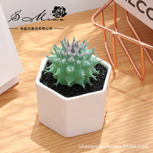Load image into Gallery viewer, Artificial Succulent Pant Bonsai (Pot Included) Artificial Flower Creative Decoration Artificial Plant