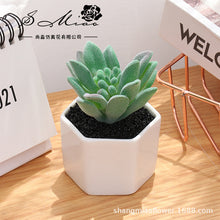 Load image into Gallery viewer, Artificial Succulent Pant Bonsai (Pot Included) Artificial Flower Creative Decoration Artificial Plant