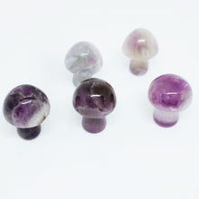 Load image into Gallery viewer, 5PCs Natural Crystal Agate Mushroom 2cm Mini Small Mushroom Crystal Crafts Micro Landscape Ornaments Decorations