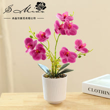 Load image into Gallery viewer, 3D Printing Film Three-Fork Eight-Flower Phalaenopsis Bonsai Artificial Flower Fashion Home Decorations