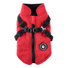 Load image into Gallery viewer, Chest Strap Winter Jacket Cotton Coat PET's Chest-Back Zipper Pet Clothing for Dog