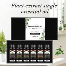 Load image into Gallery viewer, Aromatherapy Oil Organic Essence Oil Single Essential Oil Lavender Tea Tree Massage Essential Oils