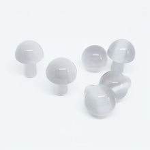 Load image into Gallery viewer, 5PCs Natural Crystal Agate Mushroom 2cm Mini Small Mushroom Crystal Crafts Micro Landscape Ornaments Decorations