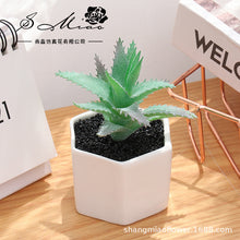 Load image into Gallery viewer, Artificial Succulent Pant Bonsai (Pot Included) Artificial Flower Creative Decoration Artificial Plant