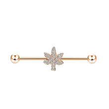 Load image into Gallery viewer, Ear Studs 14G External Thread Piercing Jewelry Ear Bridge Double Ear Piercings Straight Rod Zircon Earrings