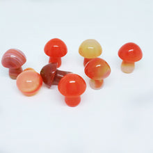 Load image into Gallery viewer, 5PCs Natural Crystal Agate Mushroom 2cm Mini Small Mushroom Crystal Crafts Micro Landscape Ornaments Decorations