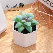 Load image into Gallery viewer, Artificial Succulent Pant Bonsai (Pot Included) Artificial Flower Creative Decoration Artificial Plant