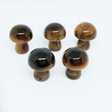 Load image into Gallery viewer, 5PCs Natural Crystal Agate Mushroom 2cm Mini Small Mushroom Crystal Crafts Micro Landscape Ornaments Decorations