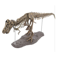 Load image into Gallery viewer, Simulation DIY 3D Dinosaur Model Skeleton Educational Dinosaurio Biology Biologia Interesting Toy For Children Gift Dinosaurios