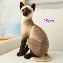Load image into Gallery viewer, Stuffed Lifelike Siamese Cats Plush Toy simulation American Shorthair Cute Cat Doll Pet Toys Home Decor Gift For Girls birthday