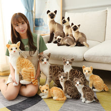 Load image into Gallery viewer, Stuffed Lifelike Siamese Cats Plush Toy simulation American Shorthair Cute Cat Doll Pet Toys Home Decor Gift For Girls birthday