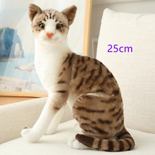 Load image into Gallery viewer, Stuffed Lifelike Siamese Cats Plush Toy simulation American Shorthair Cute Cat Doll Pet Toys Home Decor Gift For Girls birthday