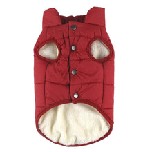 Load image into Gallery viewer, Winter Pet Coat Clothes for Dogs Winter Clothing Warm Dog Clothes for Small Dogs Christmas Big Dog Coat Winter Clothes Chihuahua for Dog