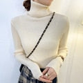 Load image into Gallery viewer, Women Pullover Turtleneck Sweater Autumn Long Sleeve Slim Elastic Korean Simple Basic Cheap Jumper Solid Color Top