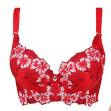 Load image into Gallery viewer, Embroidery Bra for Women Sexy Push Up Brassiere C D Cup Underwear
