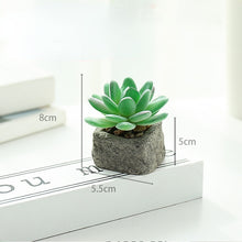 Load image into Gallery viewer, Small Stone Pot Artificial Succulent Pant Potted Plant (Pot Included) Fashion Home Decoration Simulation Plant Artificial Flowers